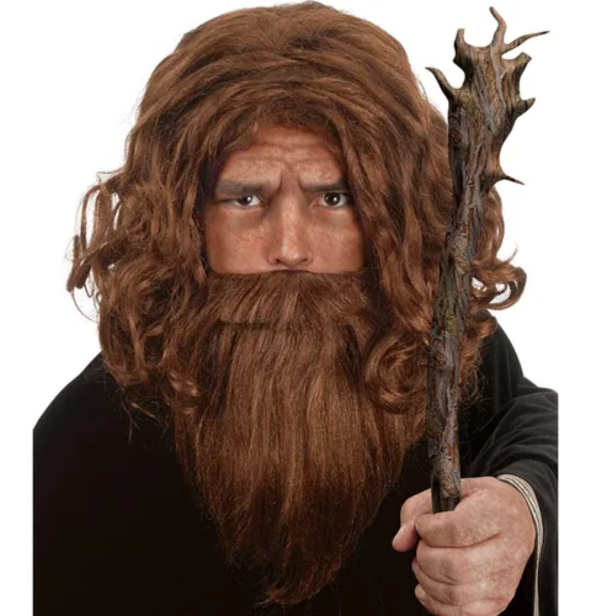 WIZARD WIG & BEARD BROWN