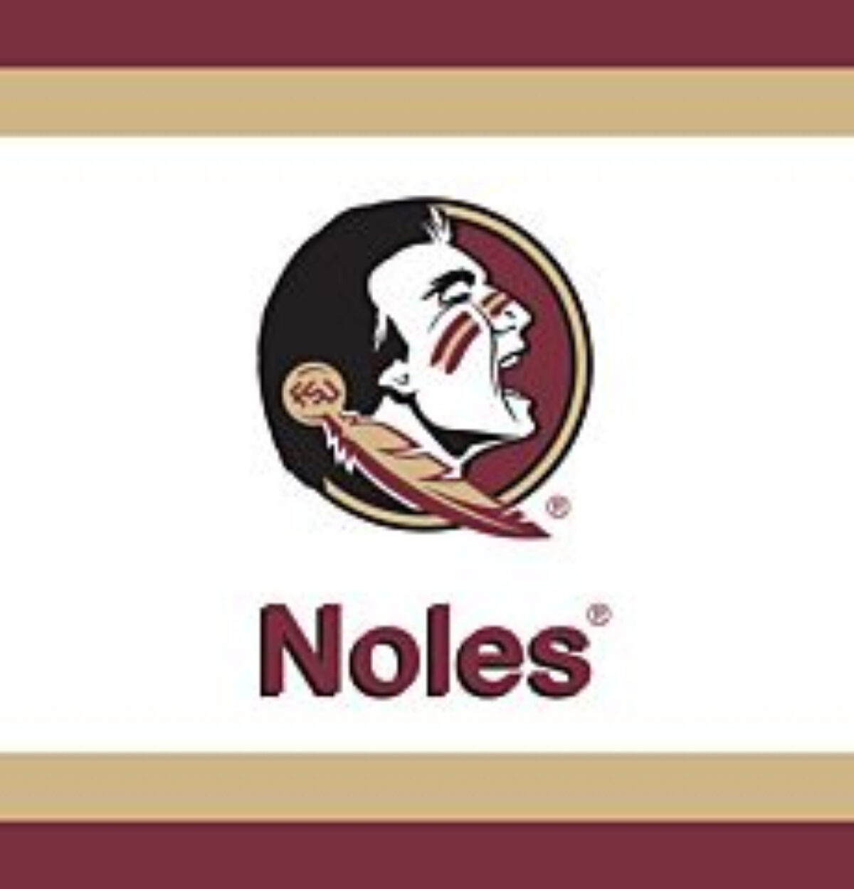 Florida State Beverage Napkins 24ct. FSU