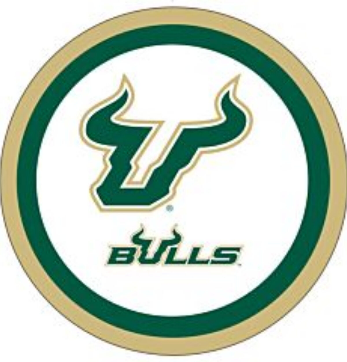 South Florida 7in Plates USF
