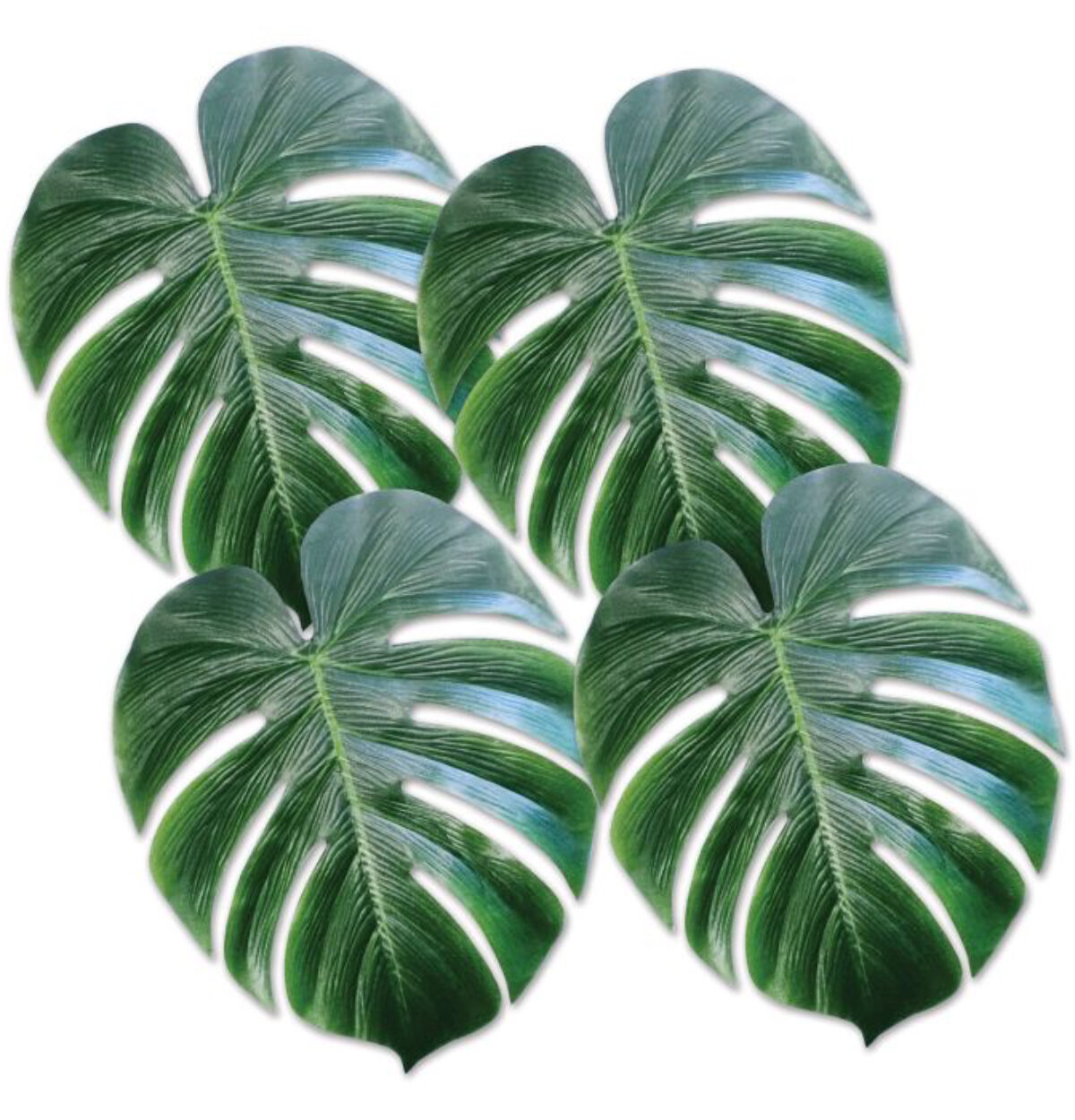Tropical Palm Leaves 4ct.