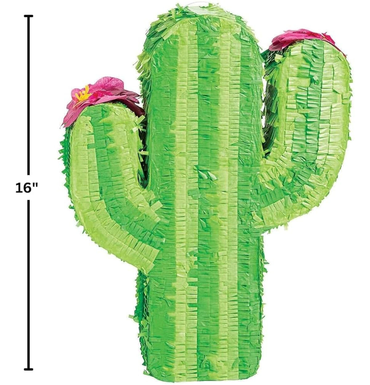 FIESTA CACTUS PINATA