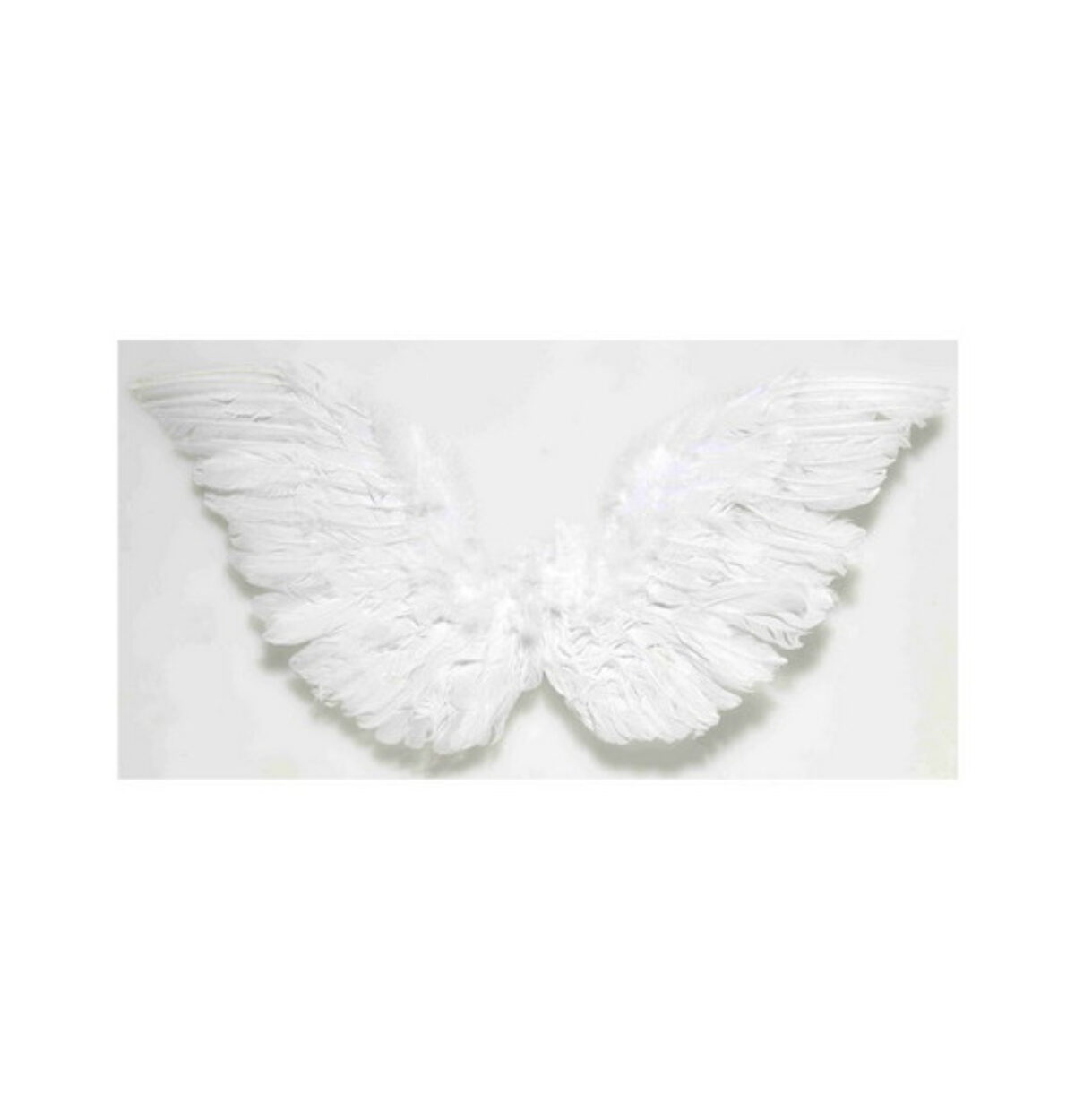 Adult Feather Angel Wings - White