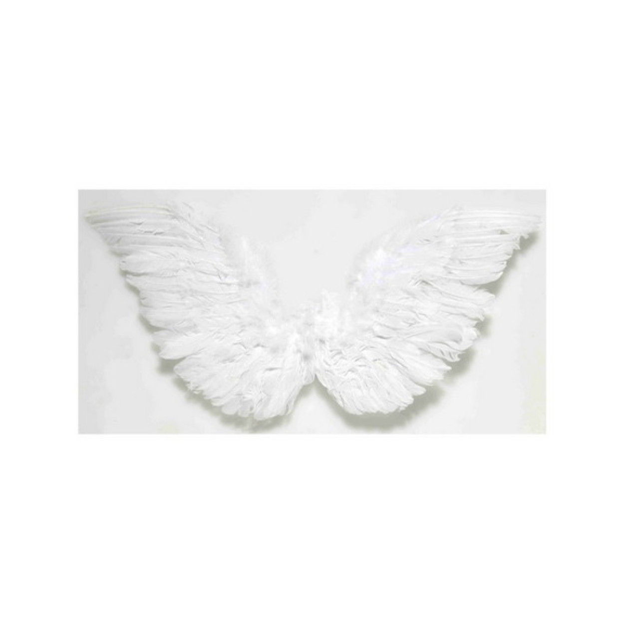 BSD-270738_576_576.jpg Adult Feather Angel Wings - White - Image 1