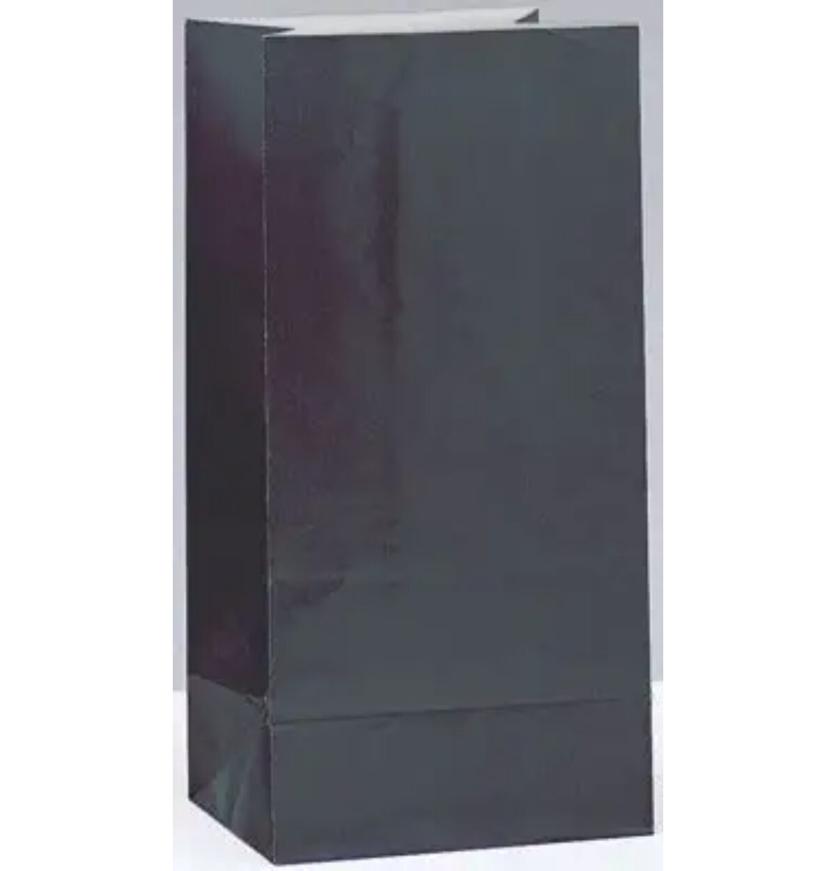 Paper Bags Black 12CT.