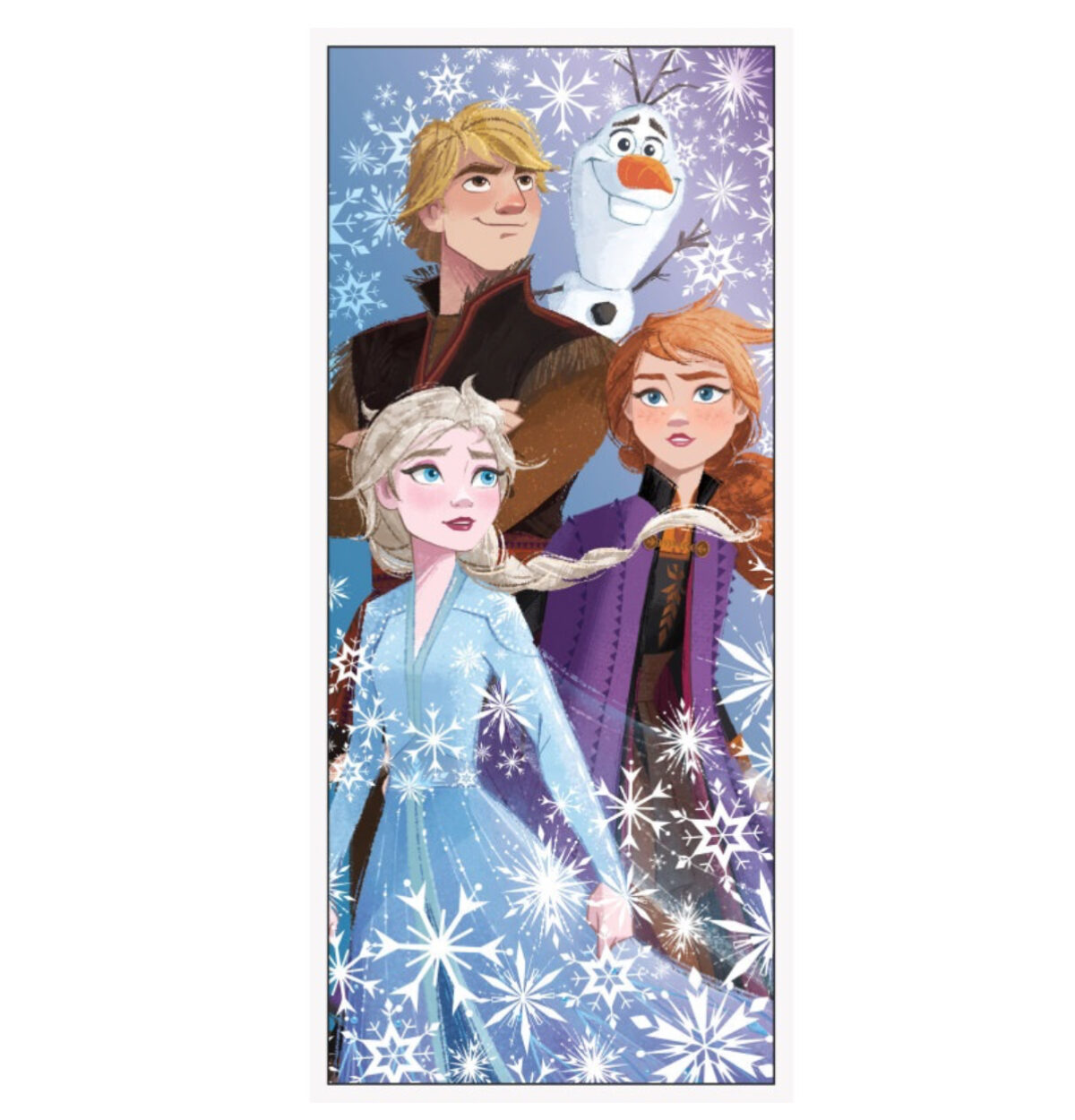 Frozen 2 Party Door Cover
