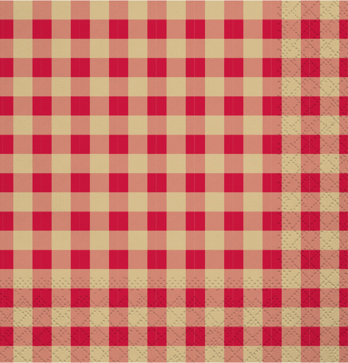 Summer Grill N Chill Lunch Napkin, 16ct. BBQ