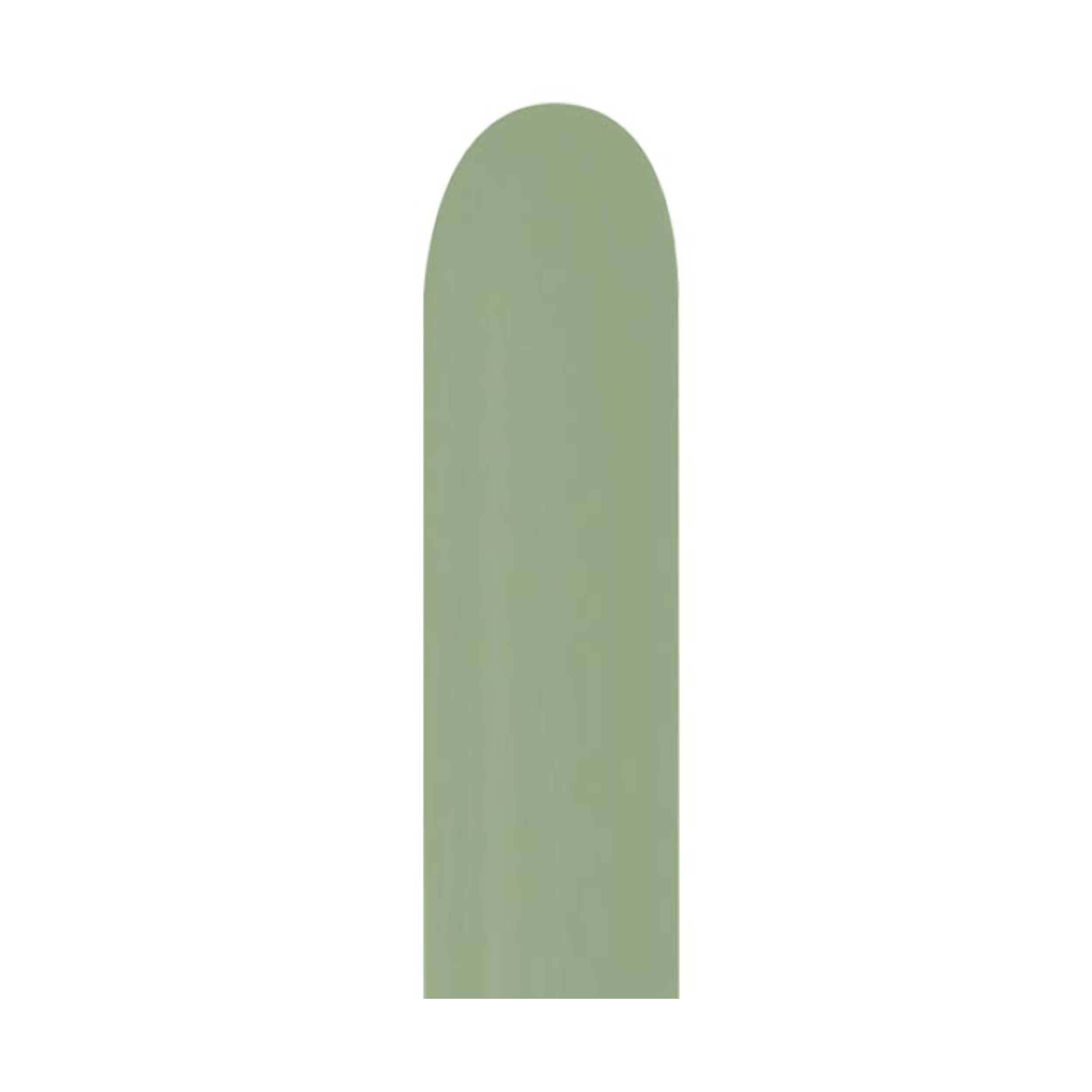 Untitled-design-49.png Sempertex 260 Deluxe Eucalyptus 50ct. - Image 1