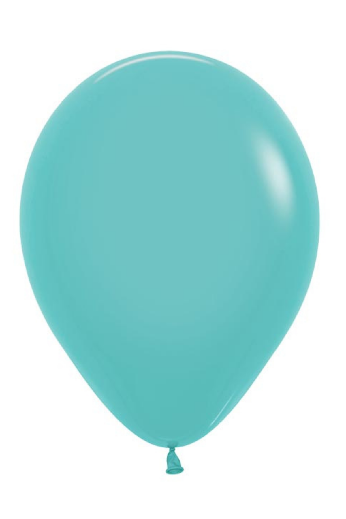 Robin Egg