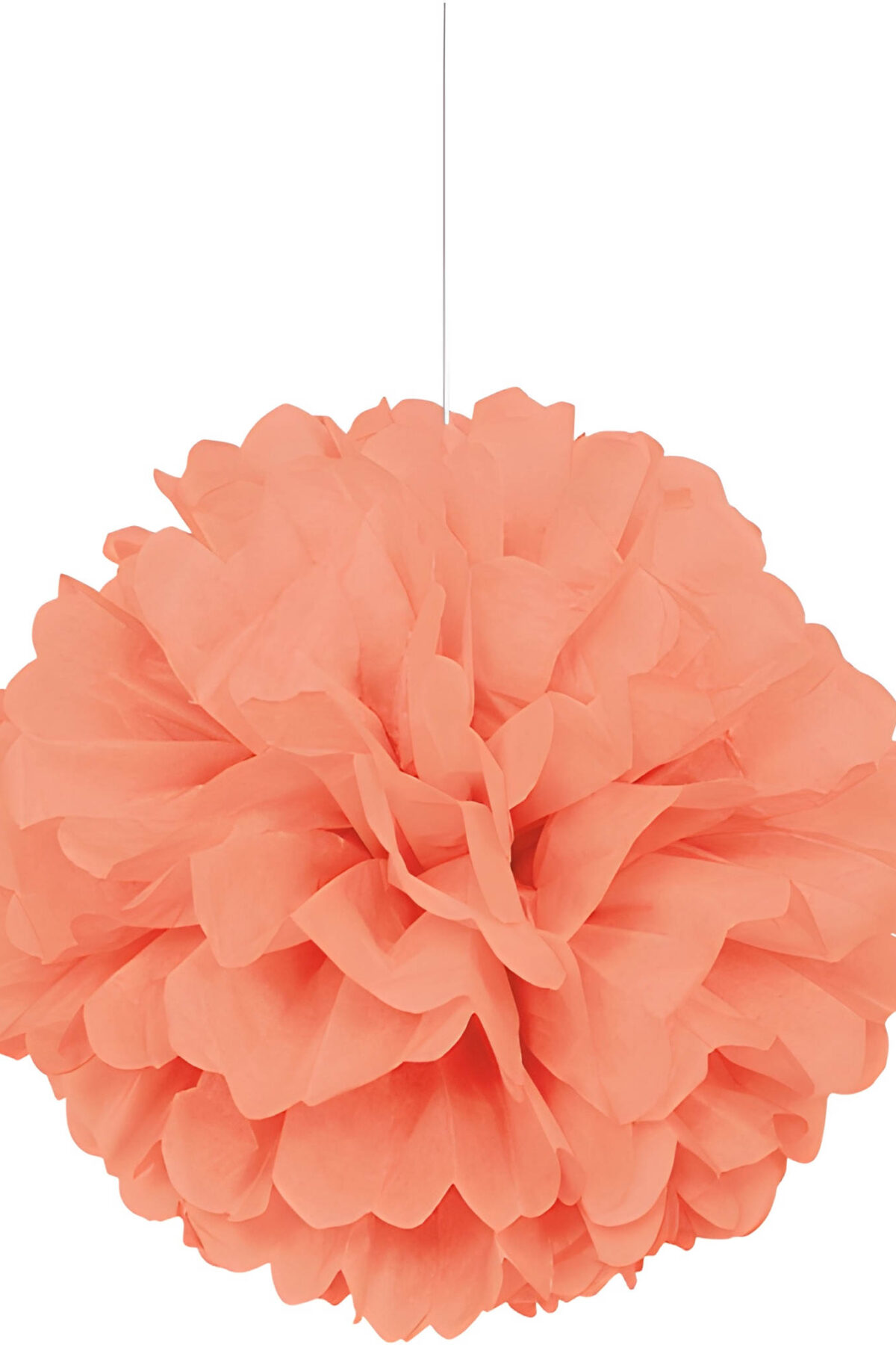 Coral Puff Ball
