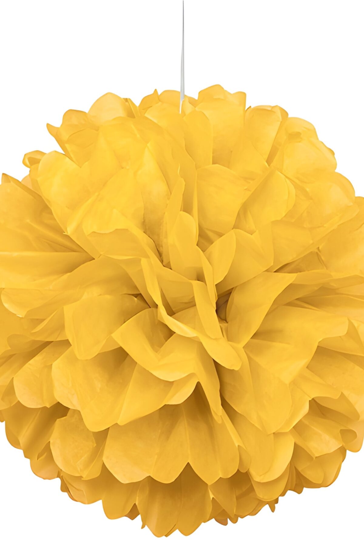 Yellow Puff Ball