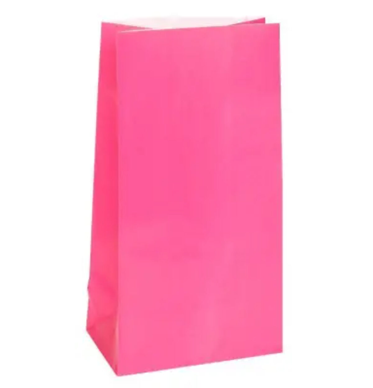 Paper Bags Hot Pink 12ct.