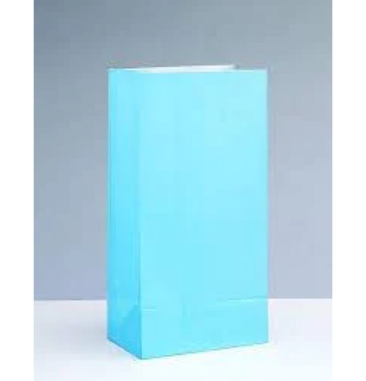 Paper Bags Powder Blue 12CT