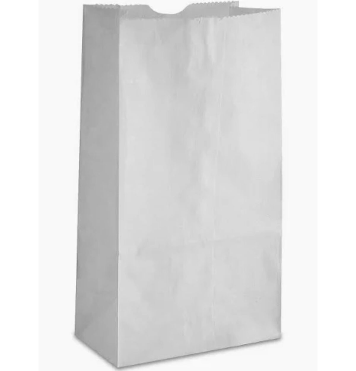 Paper Bags White 12CT