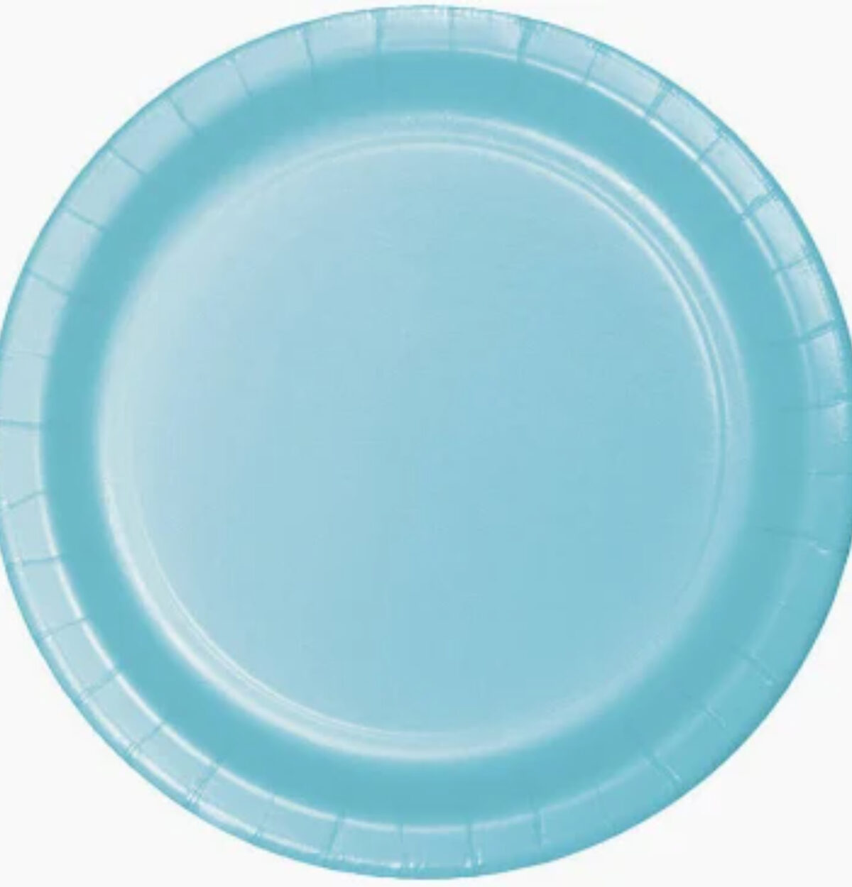 Pastel Blue 10.25" Paper Plates 24ct.