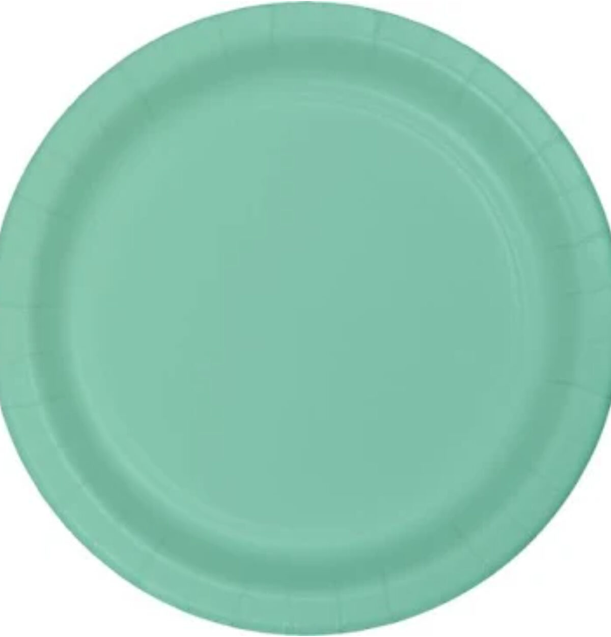 Fresh Mint 9" Paper Plates 24ct.