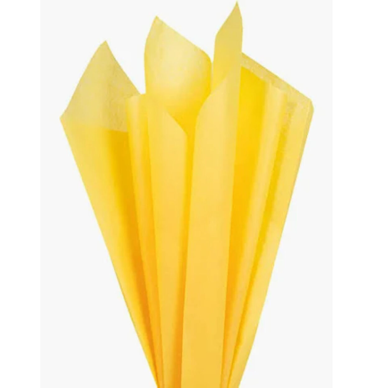 Yellow Tissue Paper 10CT.