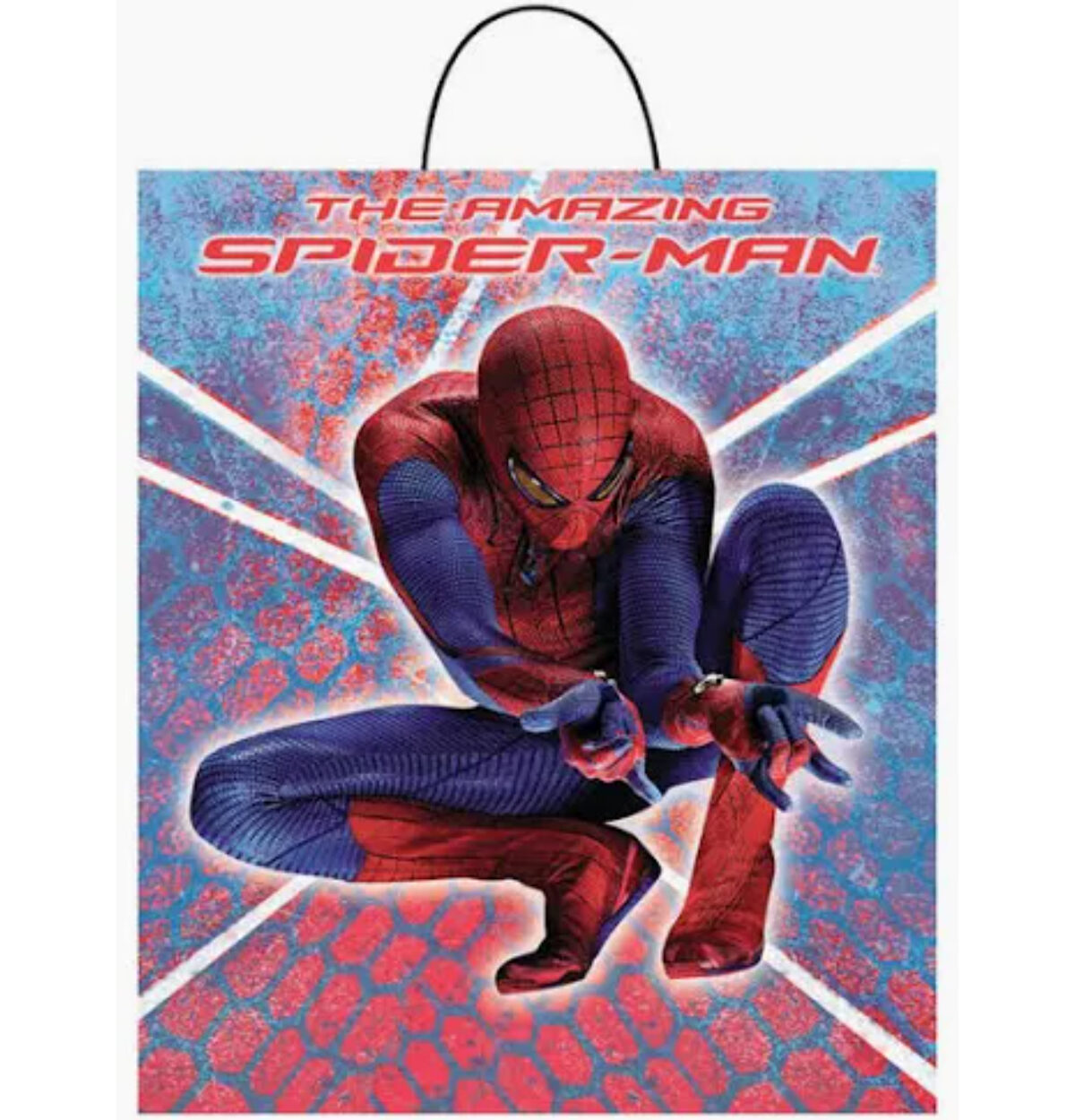 SpiderMan Treat Bag