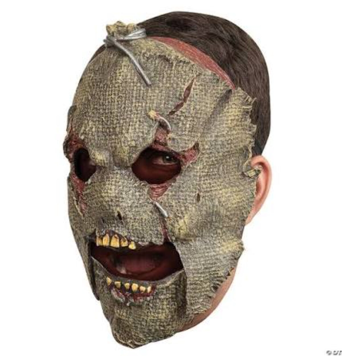 Face Mask Moving Mouth - Scarecrow