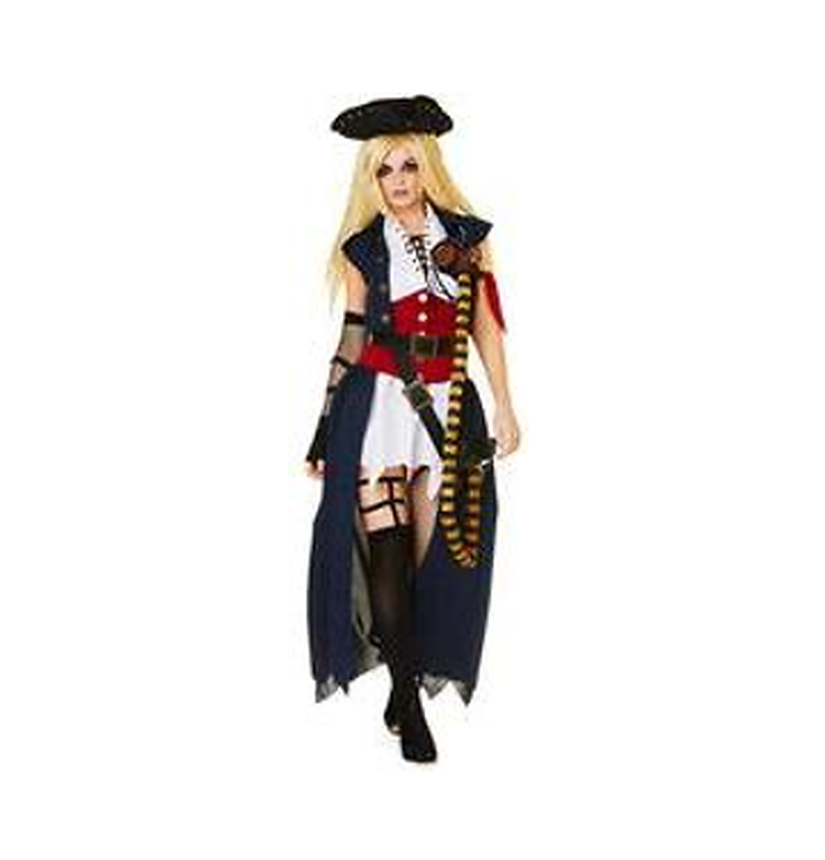 Pirate Assassin Women's Costume