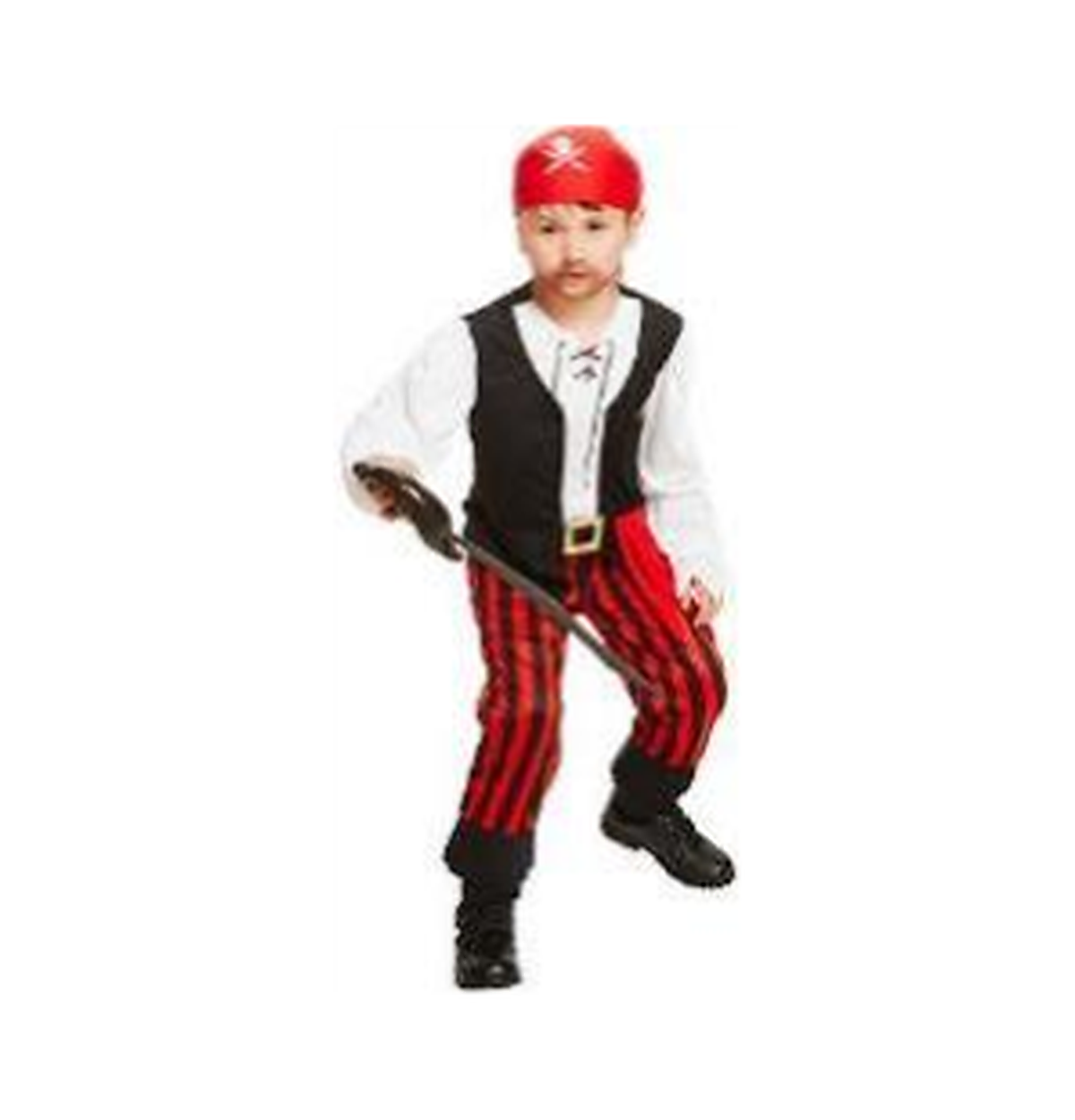 Seven Seas Pirate Swashbuckler Boy's Costume