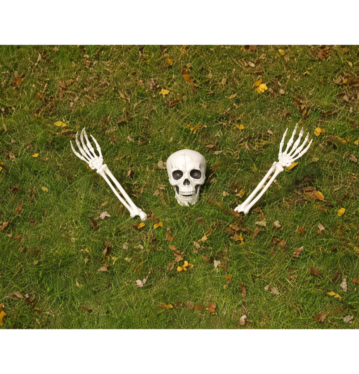 BURIED ALIVE SKELETON - Parts