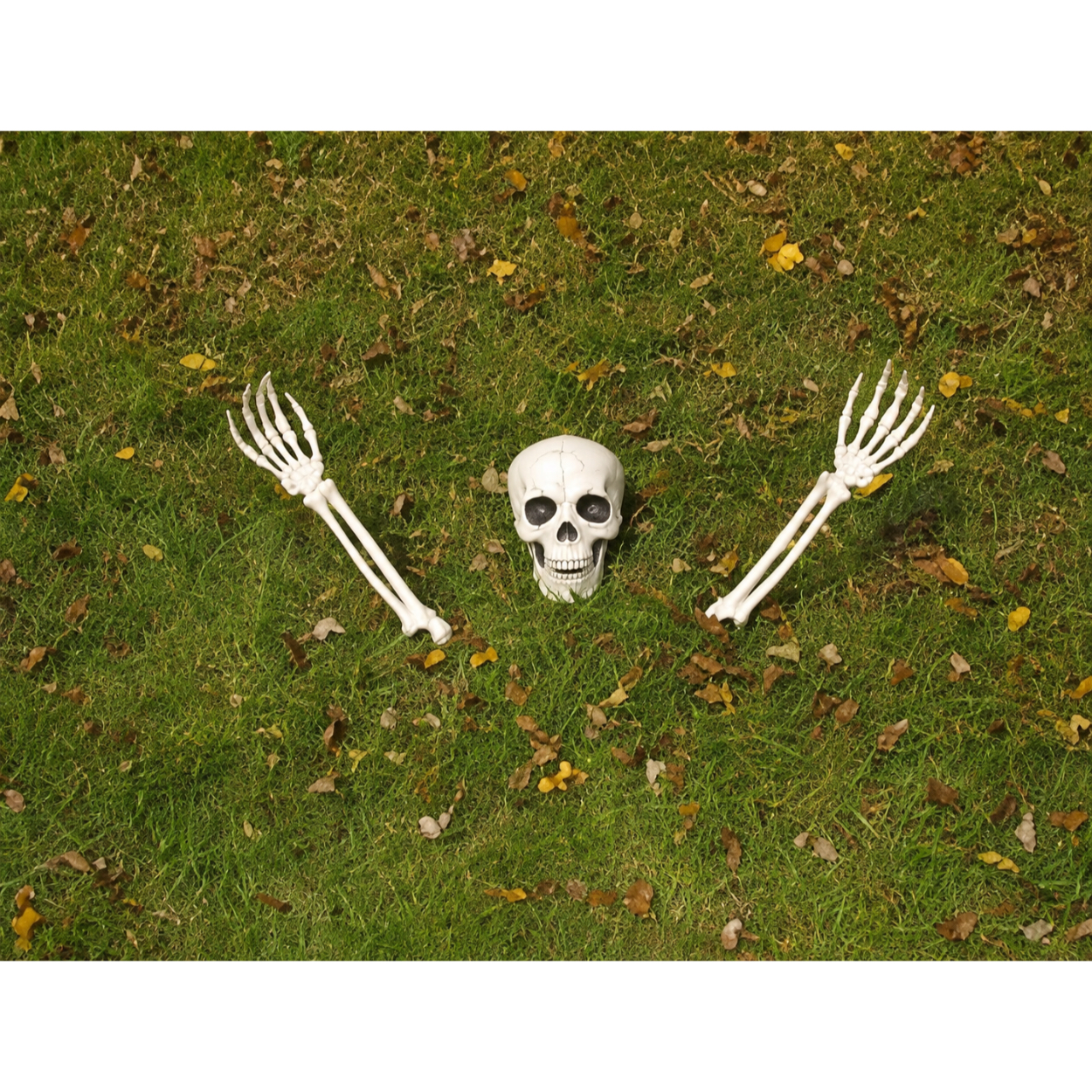 ChatGPT-Image-Sep-1-2026-at-04_13_12-PM.jpg BURIED ALIVE SKELETON - Parts - Image 1