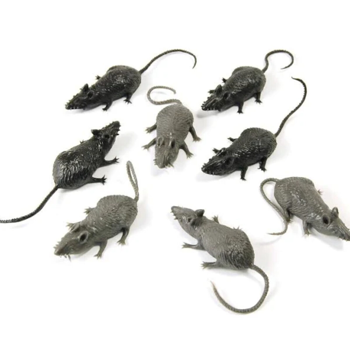 Assorted Packaged Creatures in Mesh - 10 Mice