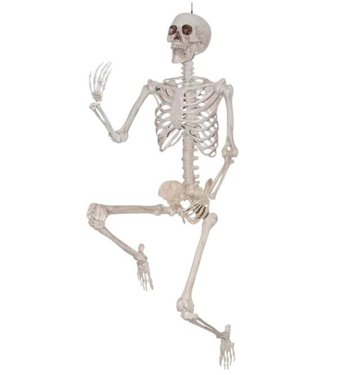7FT Titan Skeleton w/Color Sticker on Carton 84"