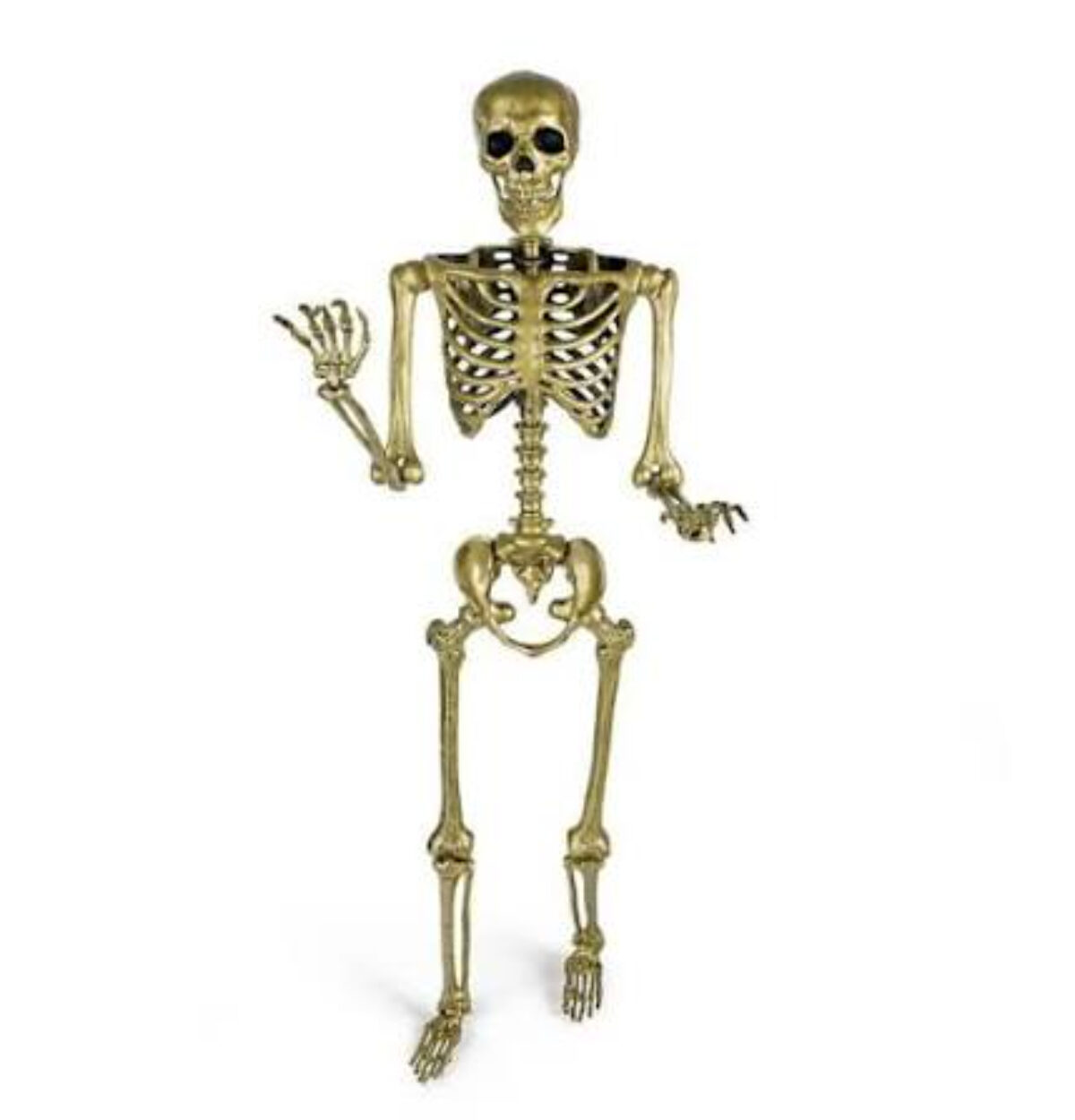 5' Gold Posable Skeleton