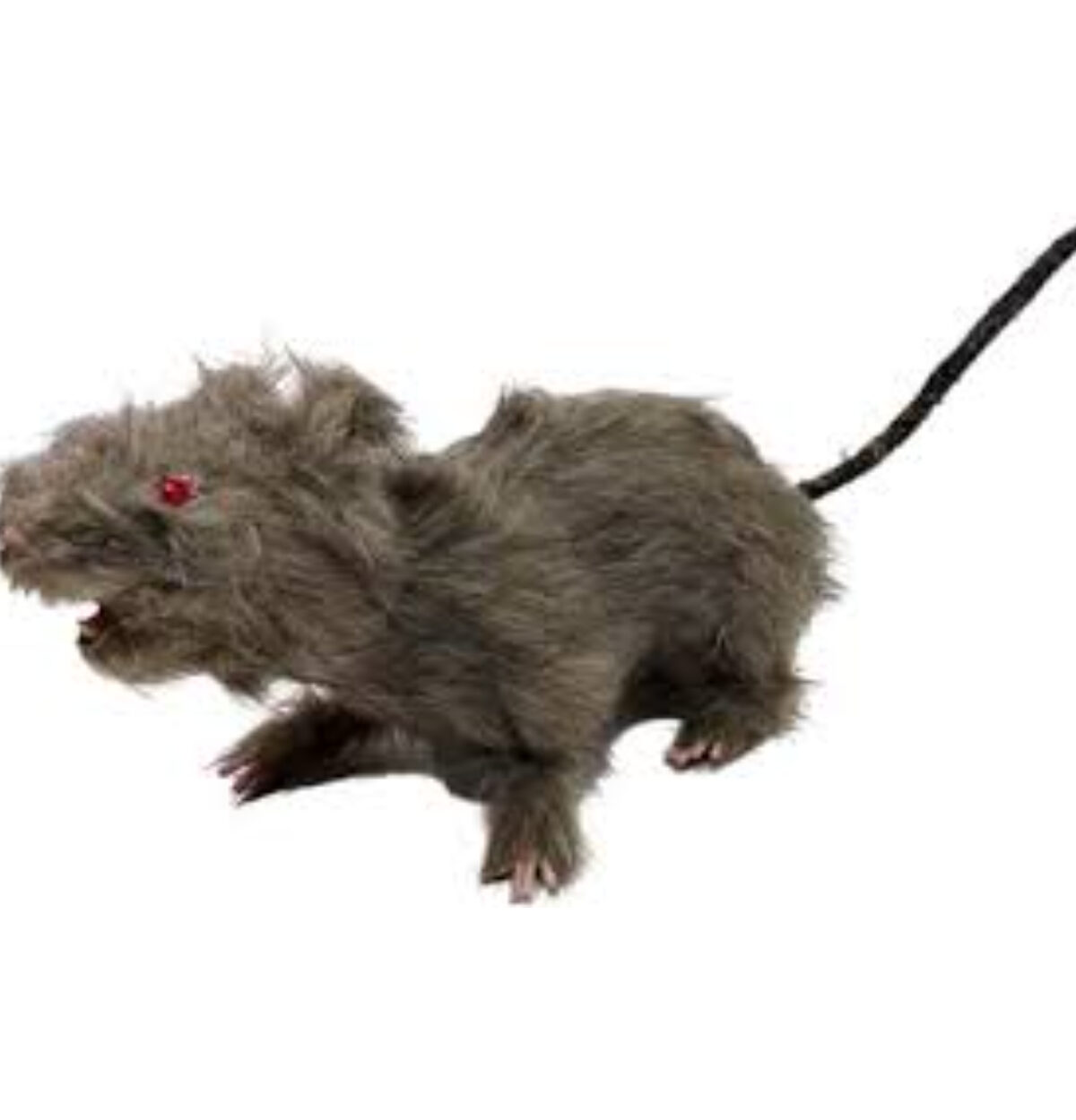 5" Realistic Rat Prop 1PC.