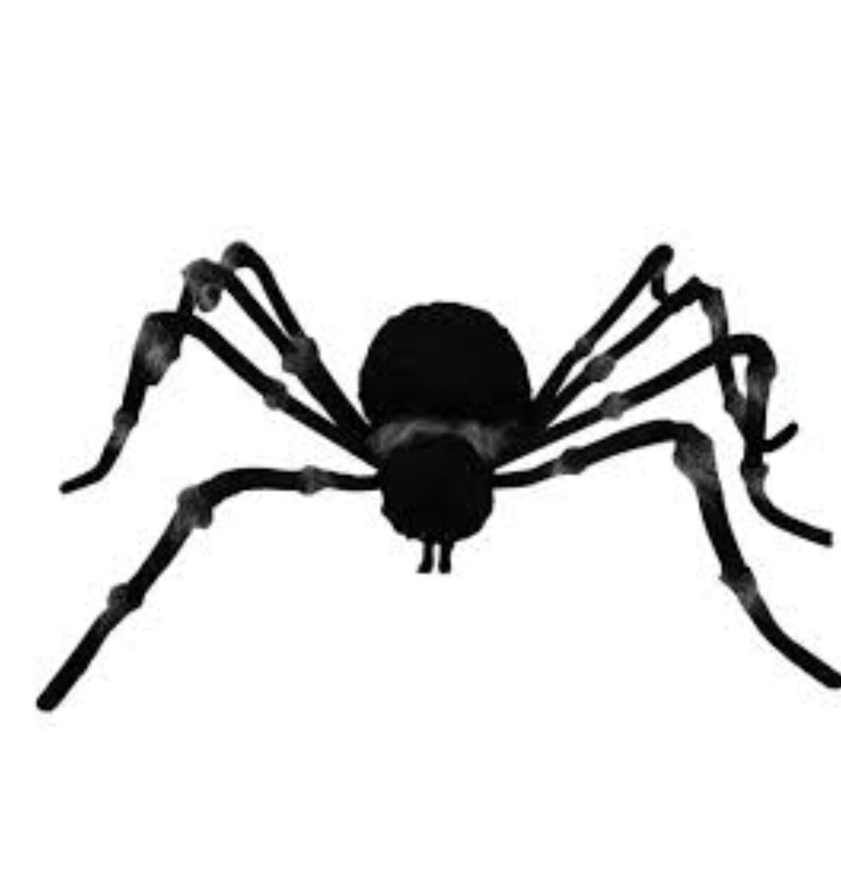 73" Grey Trim Black Spider