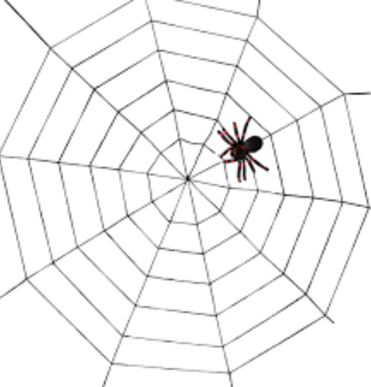 5' Rope Spider Web PBI