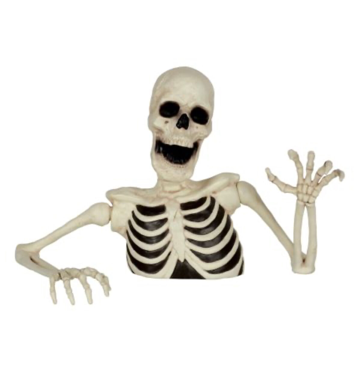 8" Skeleton Groundbreaker Tabletop