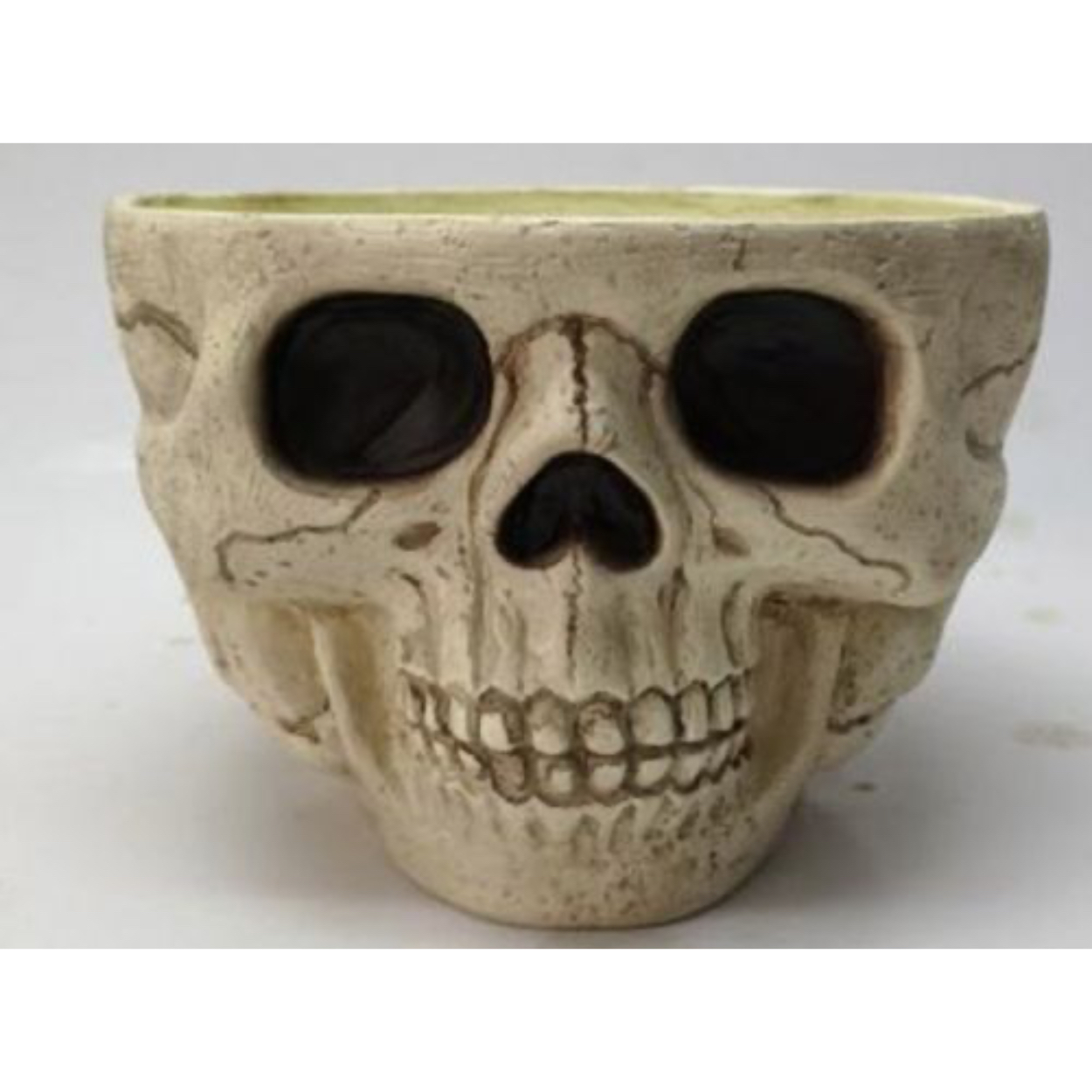 revId-7944-W81951-w500-h369.jpg 9.5" Skull Candy Bowl - Image 1