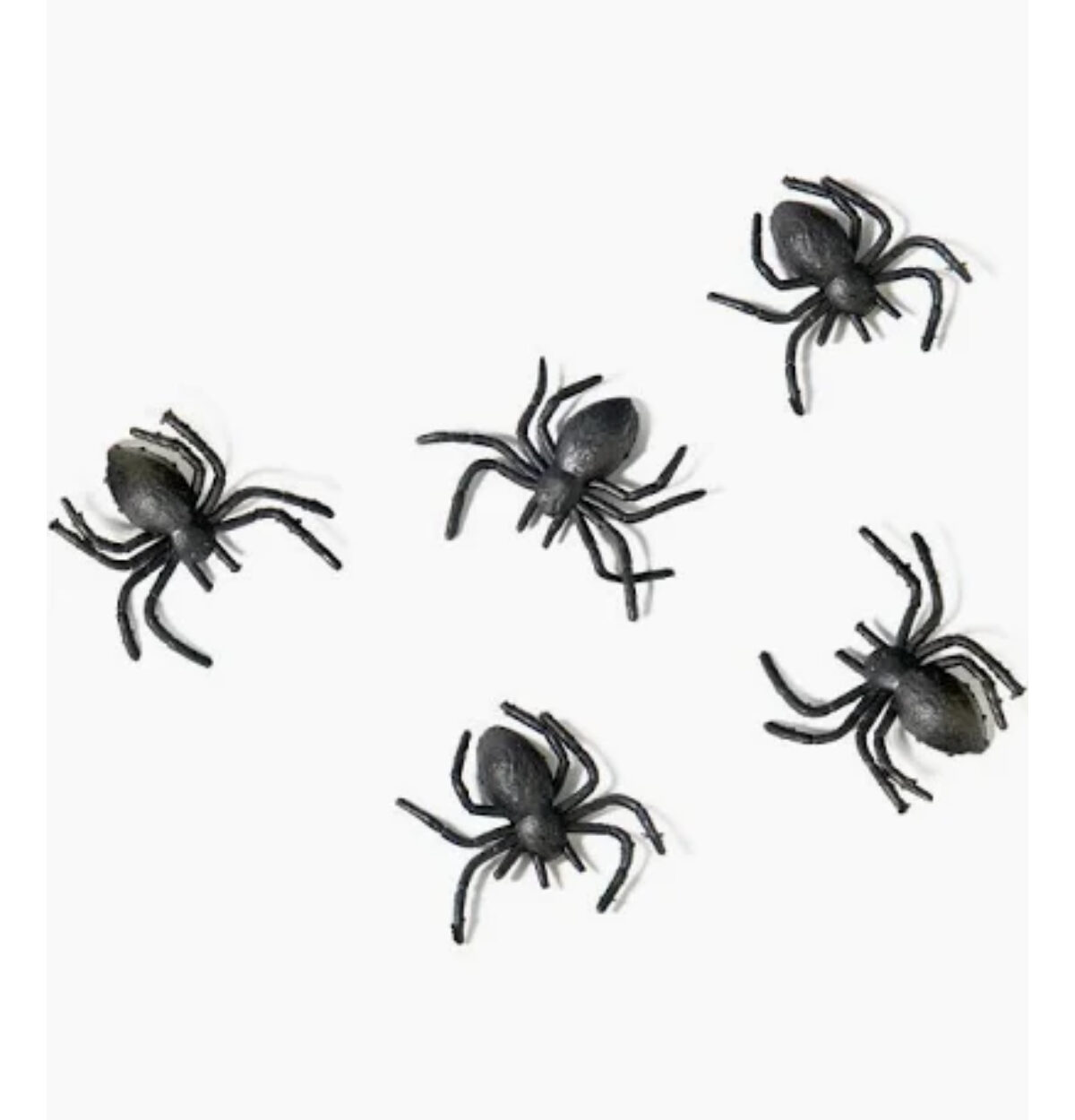 Assorted Packaged Creatures in Mesh - 15 Spiders