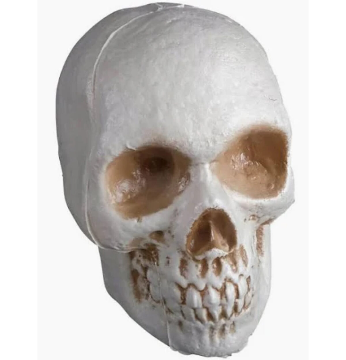 Plastic Skull Prop