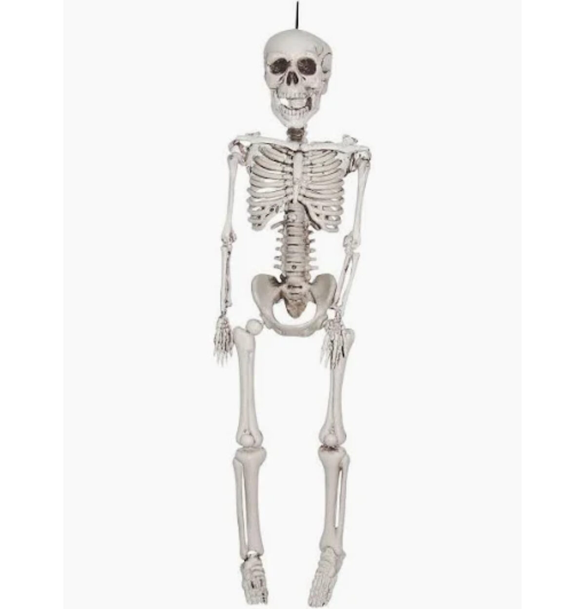 5 Ft. Skeleton