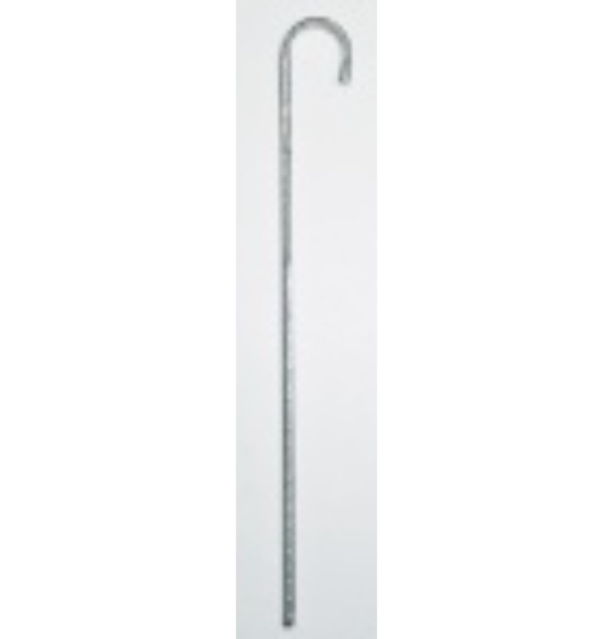 SILVER CANE