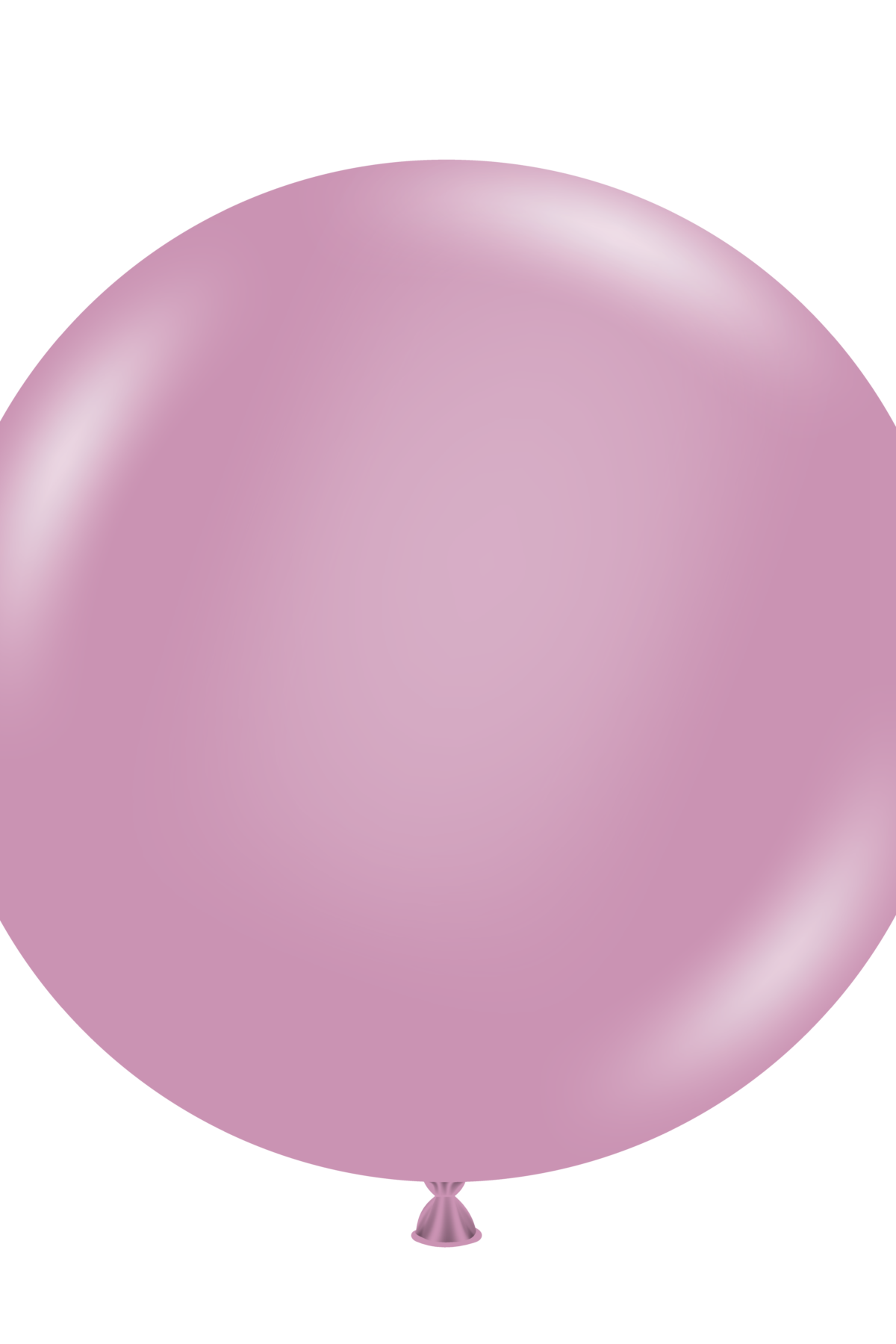 Canyon Rose Latex Balloons